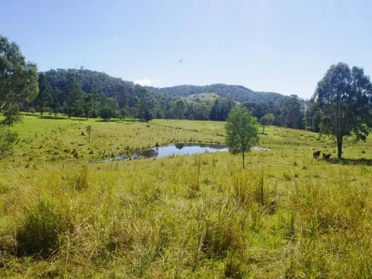 Fourth view of Homely rural property listing, 137 Boyle Road, The Palms QLD 4570