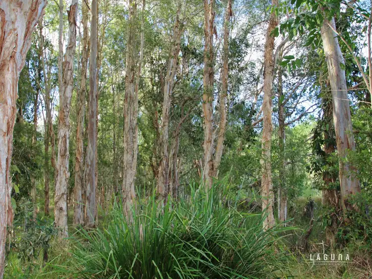 Sixth view of Homely land listing, Lot 4 Hoff Road, Wolvi QLD 4570
