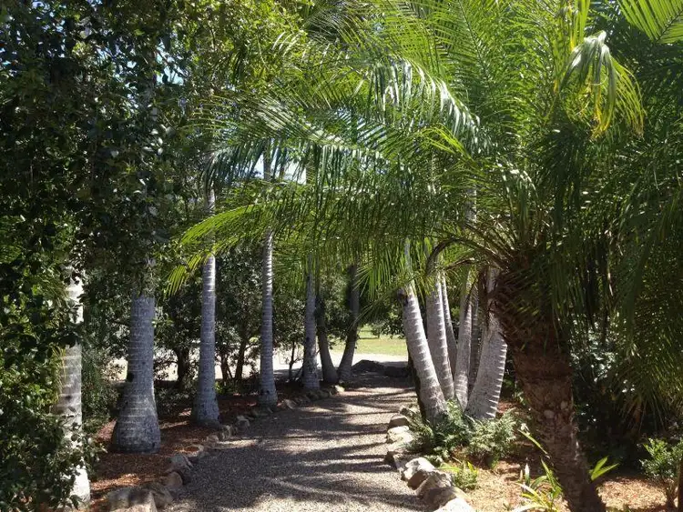 Sixth view of Homely house listing, 56 Woodhaven Way, Cooroibah QLD 4565