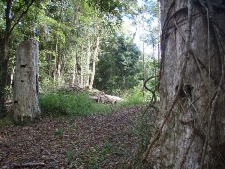 Second view of Homely rural property listing, 183 Golden Gully Road, Kin Kin QLD 4571