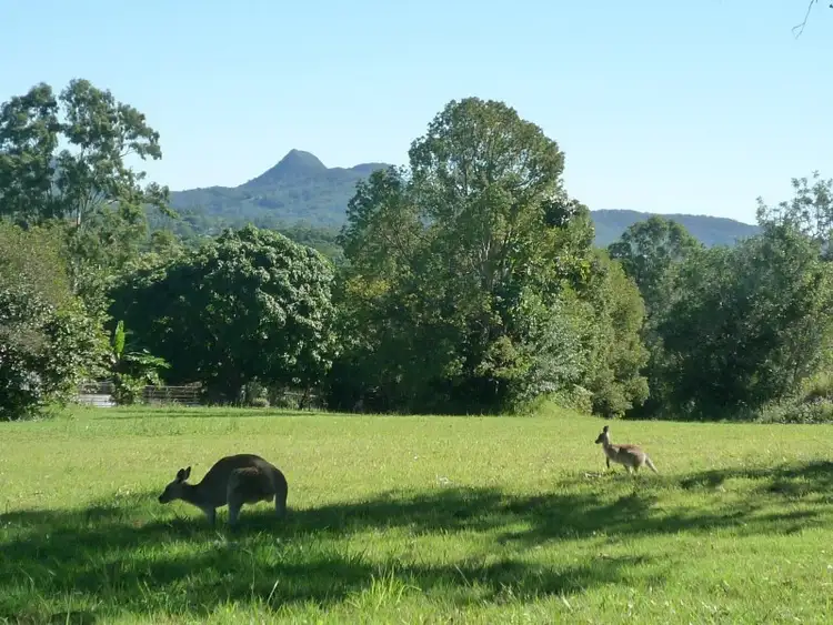 Main view of Homely land listing, 19, 60 Old Coach Way, Ninderry QLD 4561
