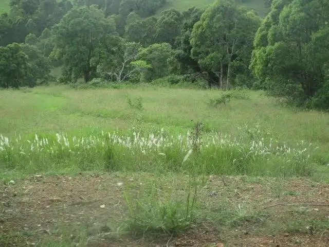 Main view of Homely house listing, 5697-5699 The Bucketts Way, Burrell Creek NSW 2429