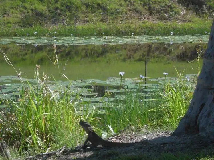 Second view of Homely land listing, 9 Sovereign Drive, Tamaree QLD 4570