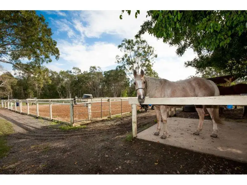 Main view of Homely rural property listing, 15 Yatama Place, Cooroibah QLD 4565