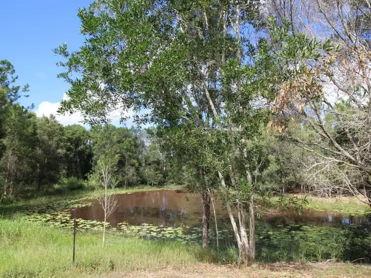 Third view of Homely land listing, 203 Fritz Road, Chatsworth QLD 4570