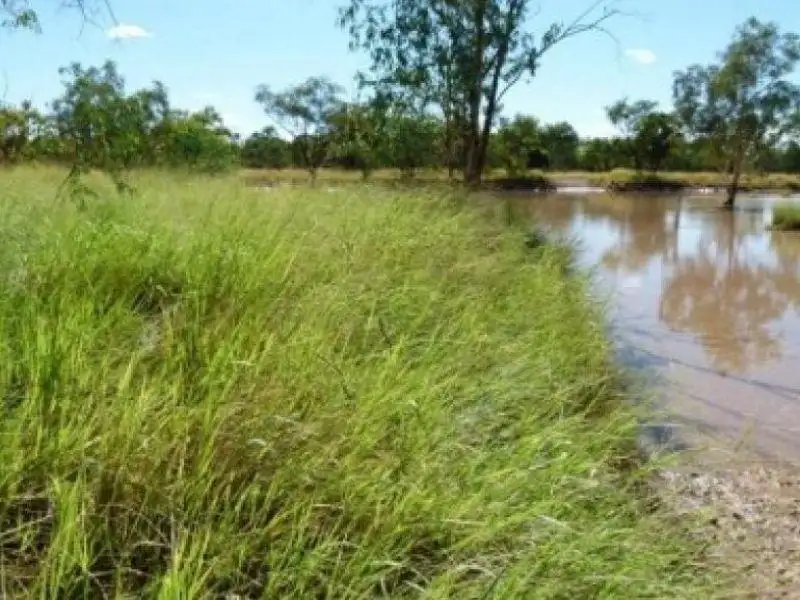 Main view of Homely rural property listing, Address available on request