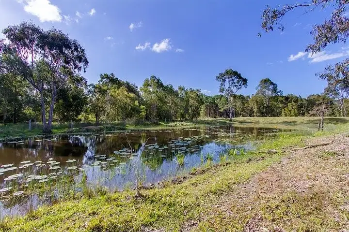 Fourth view of Homely rural property listing, 1641 Kin Kin Road, Wolvi QLD 4570