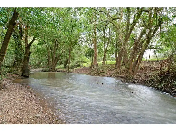 Fifth view of Homely rural property listing, 104 Whelan Road, Bollier QLD 4570
