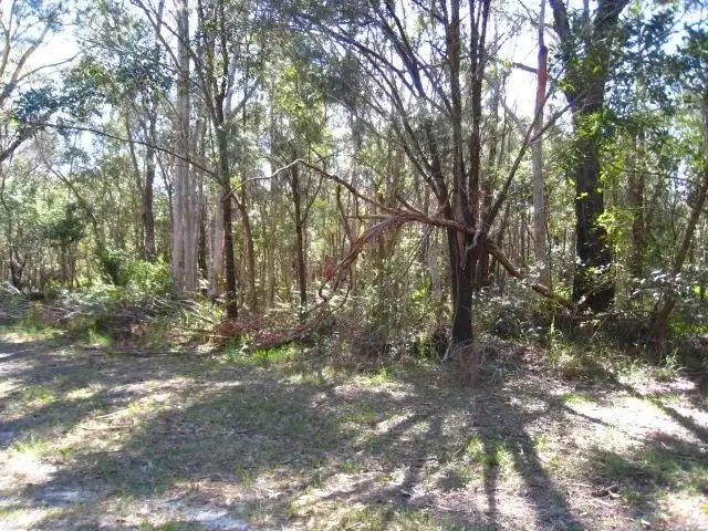 43 GROVE RD., Russell Island QLD 4184