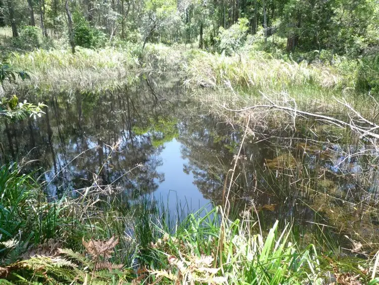 Seventh view of Homely rural property listing, 199 Hidden Valley Road, North Arm QLD 4561