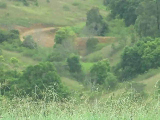 Fifth view of Homely house listing, 5697-5699 The Bucketts Way, Burrell Creek NSW 2429