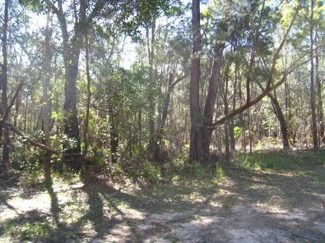 Second view of Homely land listing, 43 GROVE RD., Russell Island QLD 4184