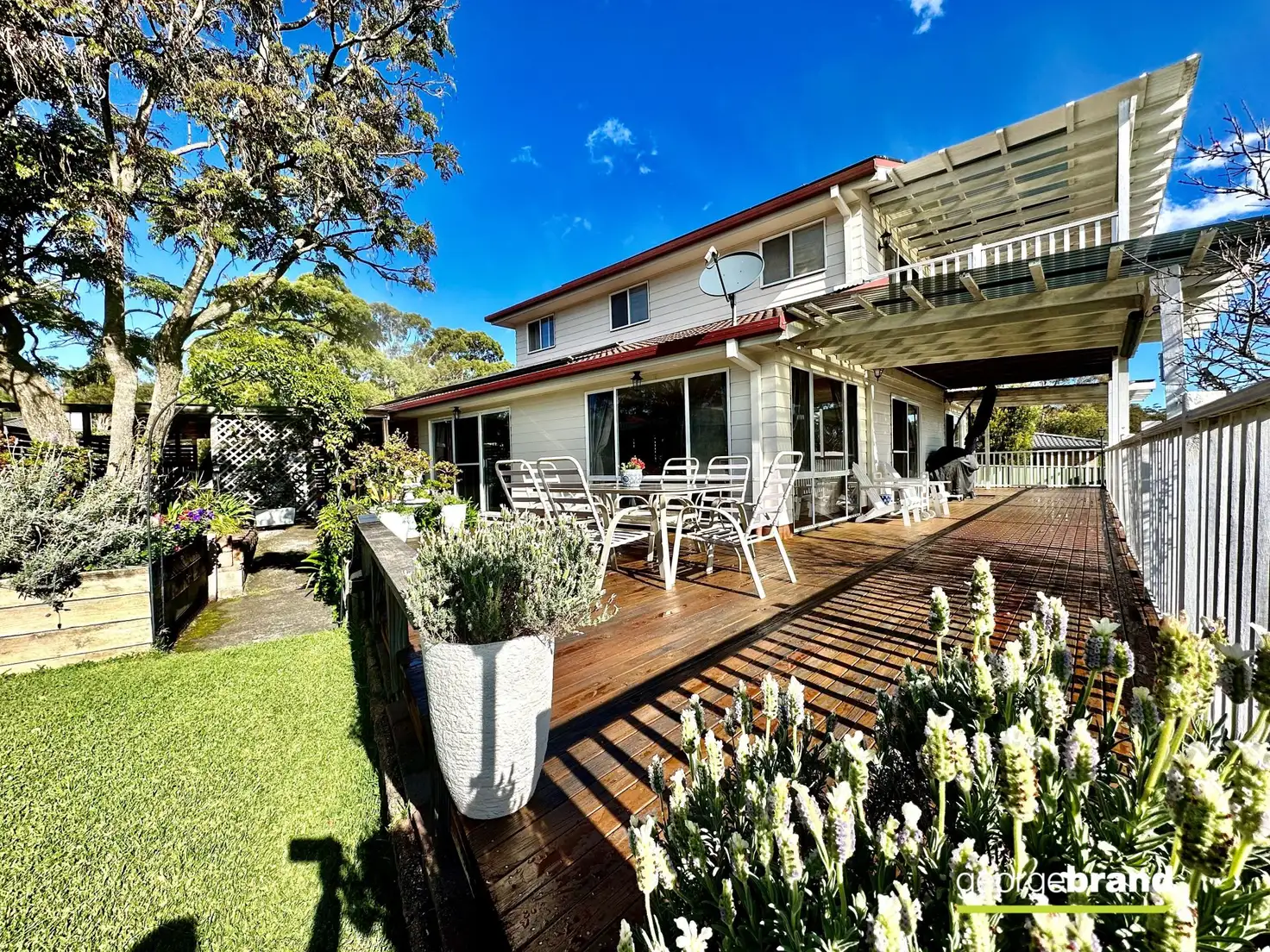 Main view of Homely house listing, 11 Jeffs Close, Kariong NSW 2250