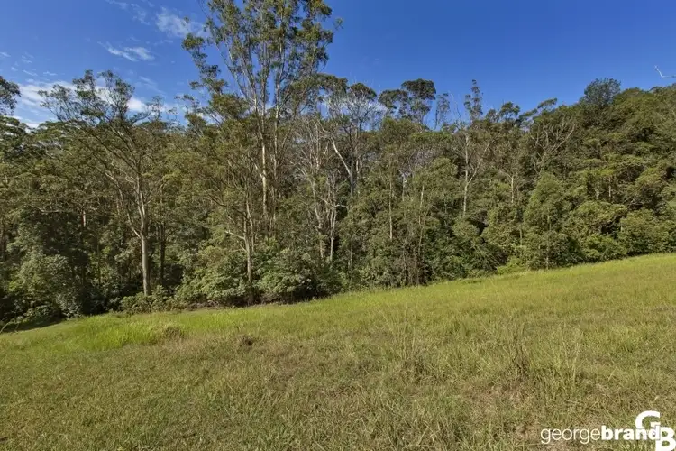Seventh view of Homely rural property listing, 186 Dajani Drive, Macmasters Beach NSW 2251