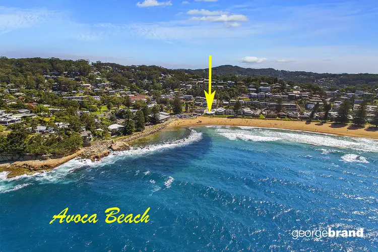 Main view of Homely house listing, 87 Avoca Drive, Avoca Beach NSW 2251