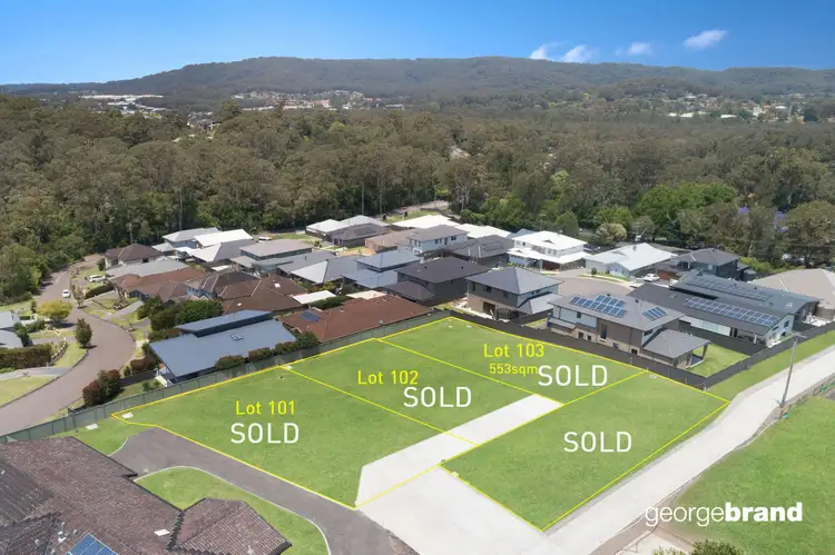 222 Wells Street, Springfield NSW 2250