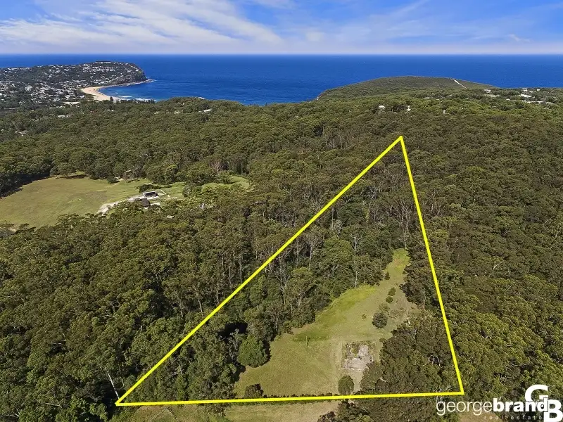Main view of Homely rural property listing, 186 Dajani Drive, Macmasters Beach NSW 2251