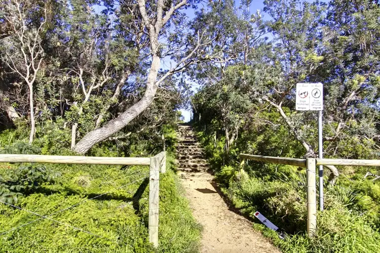 Seventh view of Homely house listing, 242 Del Monte Place, Copacabana NSW 2251