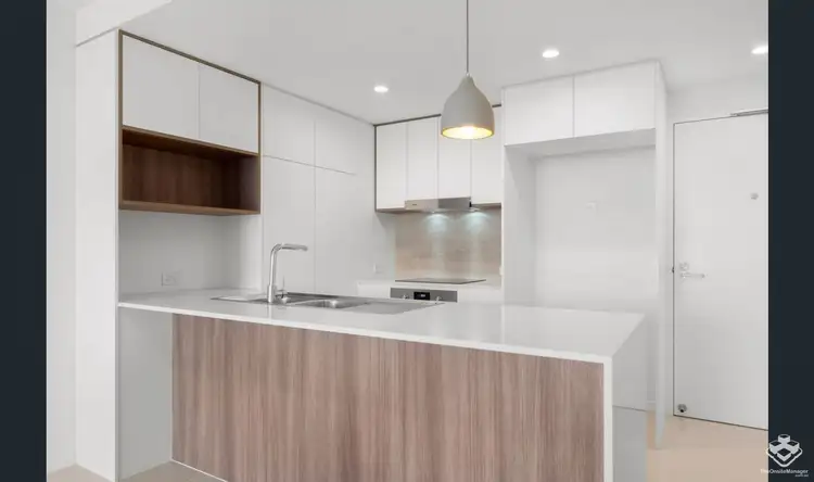 ID:21113785/100 Holdsworth Street, Coorparoo QLD 4151