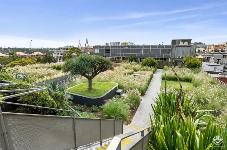 8/380 Harris St, Pyrmont NSW 2009
