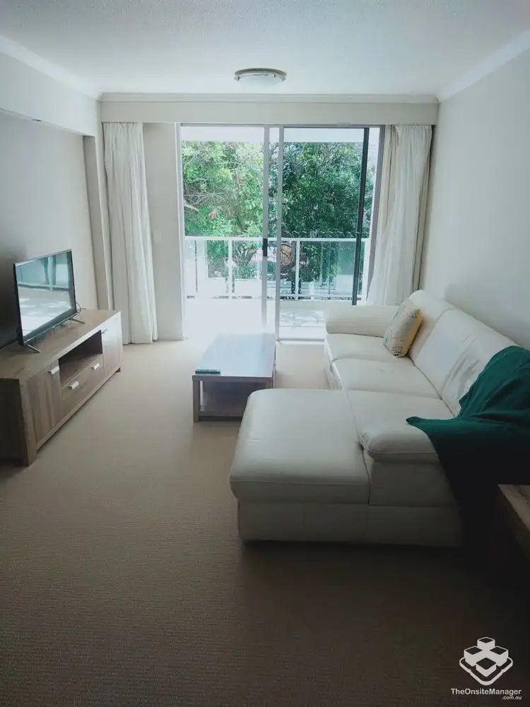 ID:21124842/21-31 Cypress Avenue, Surfers Paradise QLD 4217