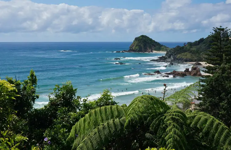 ID:21128274/37 Pacific Drive, Port Macquarie NSW 2444