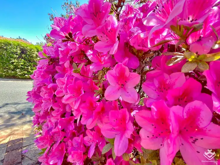 Second view of Homely villa listing, ID:21145658/16 Mulyan Place, Ashmore QLD 4214