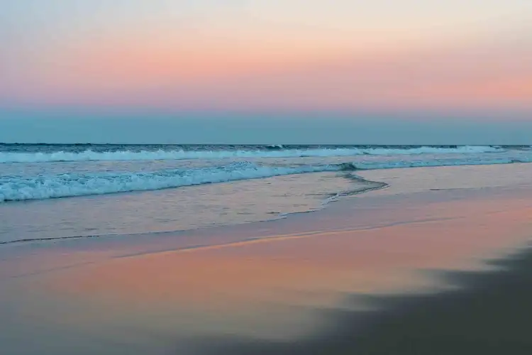 ID:21146755/388 David Low Way, Peregian Beach QLD 4573