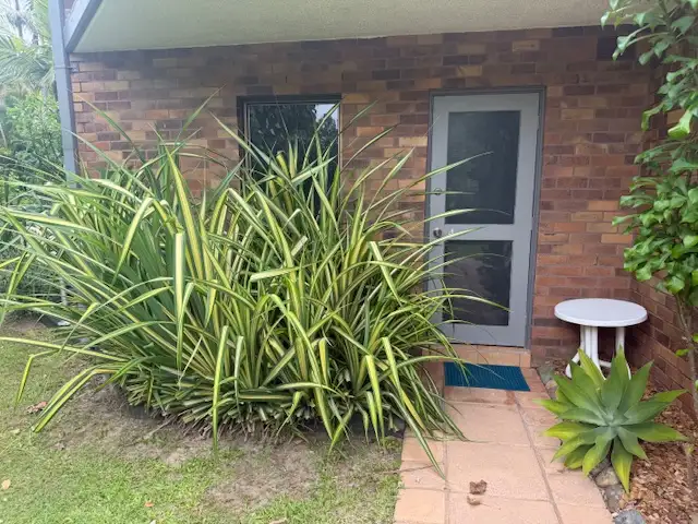 Fifth view of Homely townhouse listing, ID:21146755/388 David Low Way, Peregian Beach QLD 4573