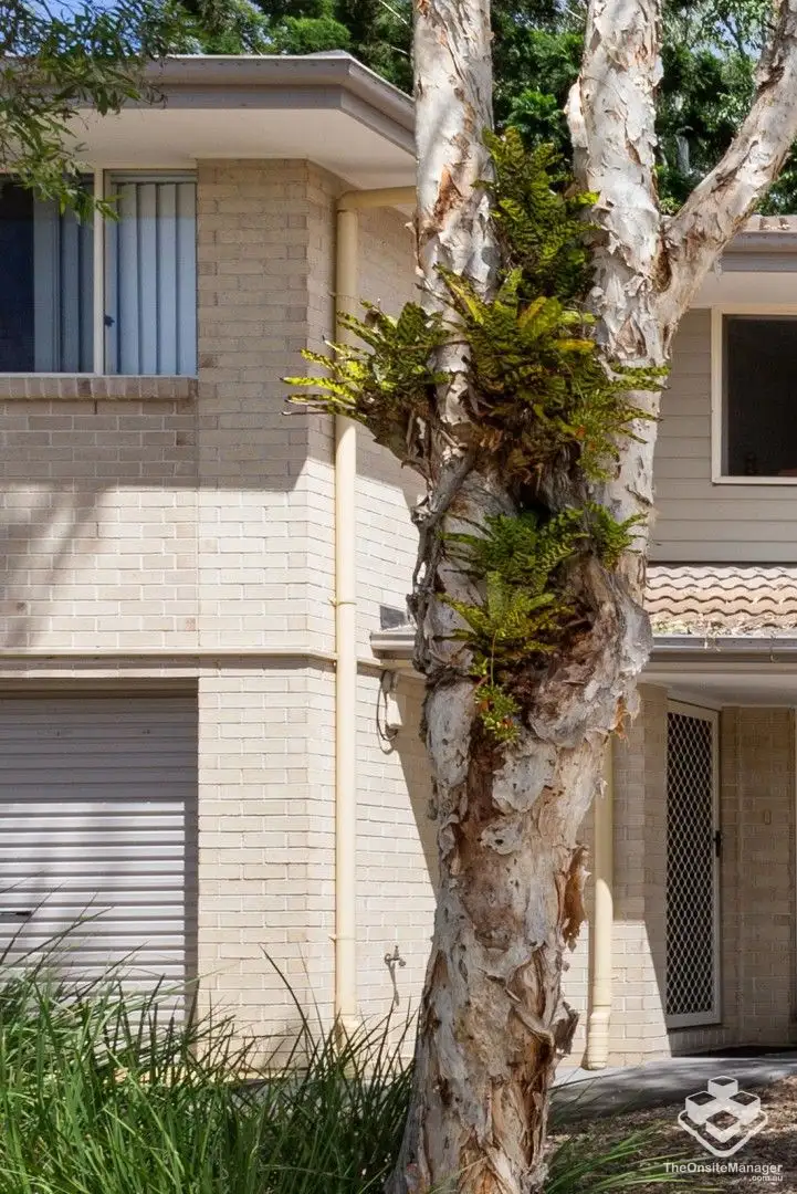 Fifth view of Homely townhouse listing, 2/60 Gawler Crescent, Bracken Ridge QLD 4017