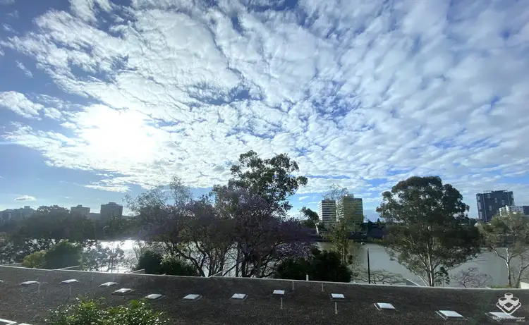 ID:21153115/35 Buchanan Street, West End QLD 4101