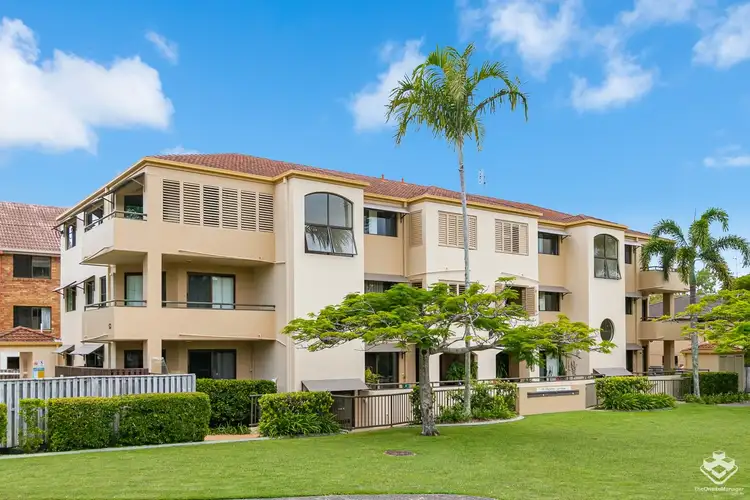 ID:21153738/53 Stapylton Street, Coolangatta QLD 4225