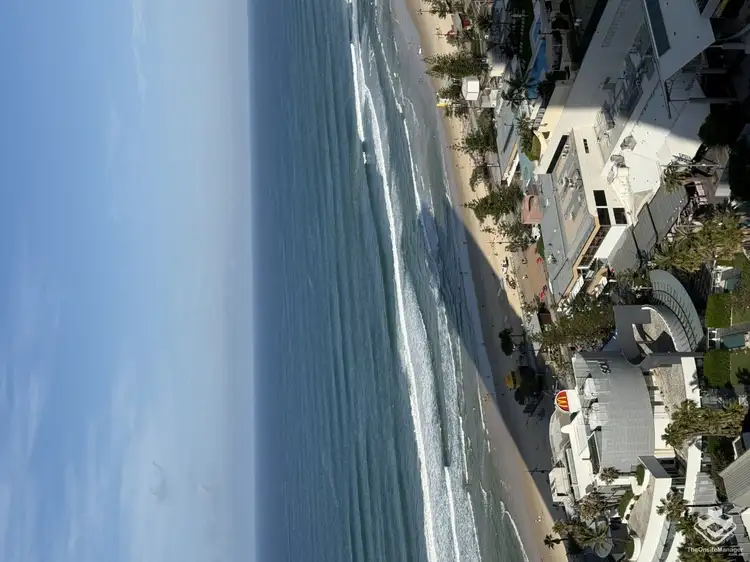 ID:21154630/3113 Orchid Avenue, Surfers Paradise QLD 4217