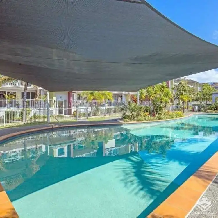 ID:21154686/33 Clark Street, Biggera Waters QLD 4216