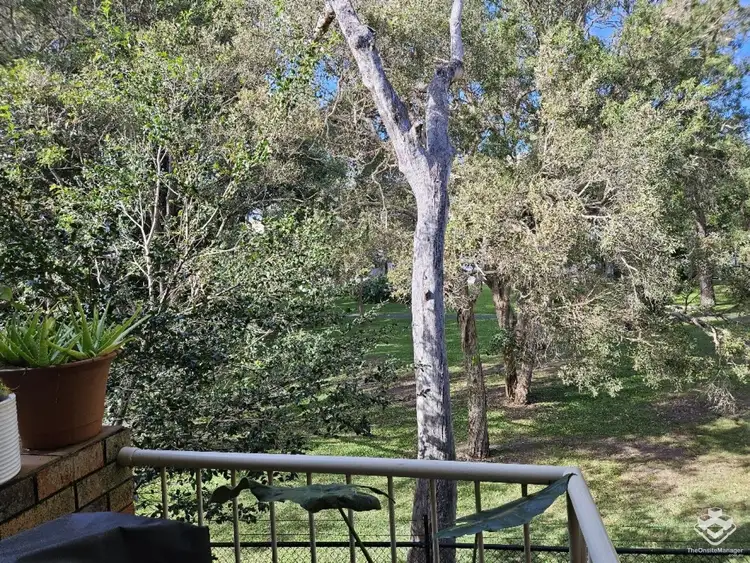 Fifth view of Homely townhouse listing, ID:21157545/527 Gold Coast Highway, Tugun QLD 4224