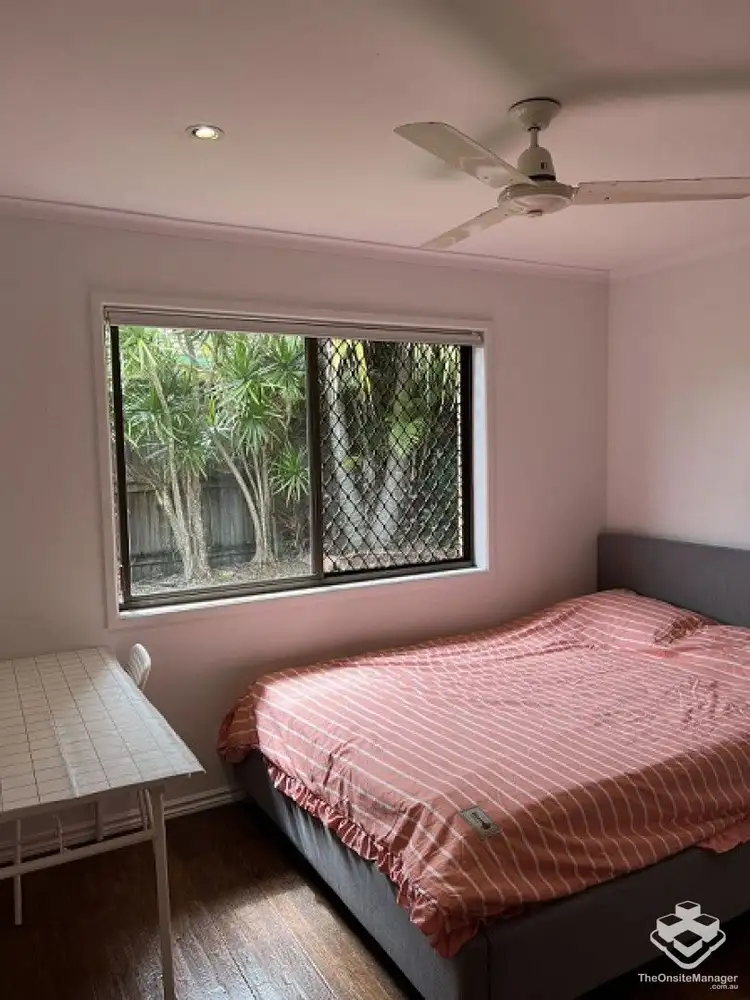 3 Nepeta Street, Runcorn QLD 4113