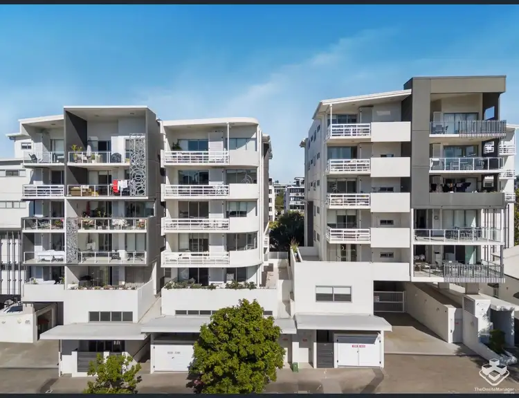 ID:21160935/17 Isedale Street, Wooloowin QLD 4030