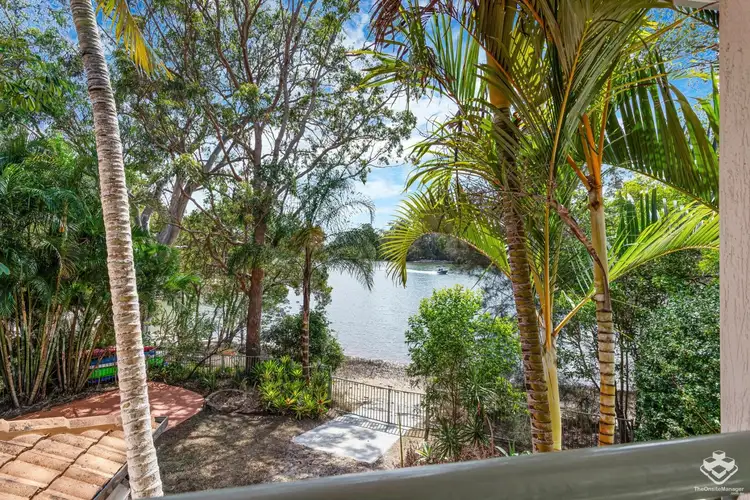 ID:21163243/92 Guineas Creek Road, Currumbin Waters QLD 4223