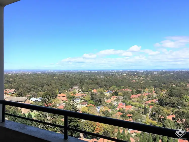 ID:21164212/14 Brown Street, Chatswood NSW 2067