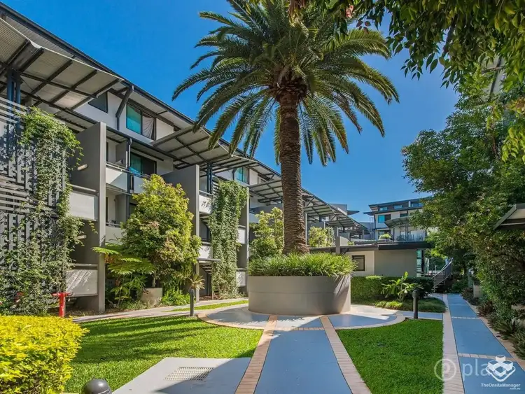 ID:21164602/139 Commercial Road, Teneriffe QLD 4005