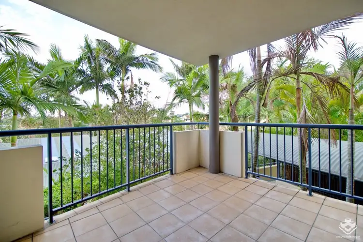 ID:21166935/182 Carmody Road, St Lucia QLD 4067