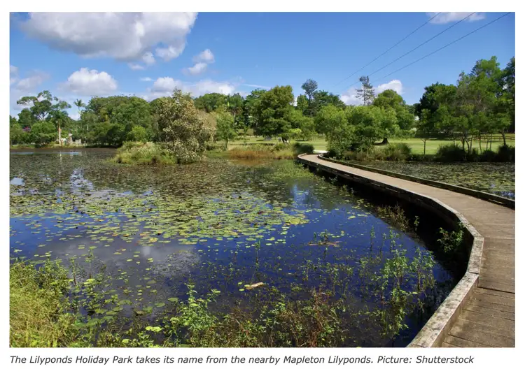 Sixth view of Homely retirement listing, 26 Warruga Street, Mapleton QLD 4560