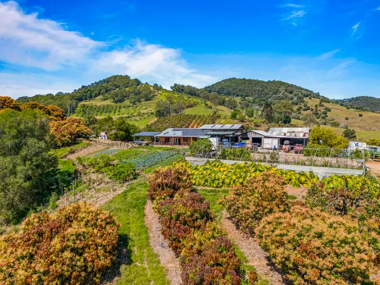 Fourth view of Homely rural property listing, 1207 Kandanga Creek Road, Upper Kandanga QLD 4570