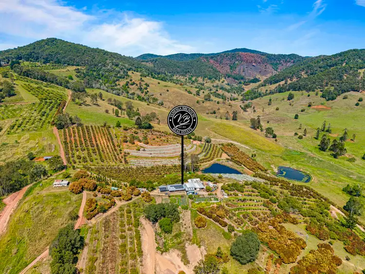 Sixth view of Homely rural property listing, 1207 Kandanga Creek Road, Upper Kandanga QLD 4570