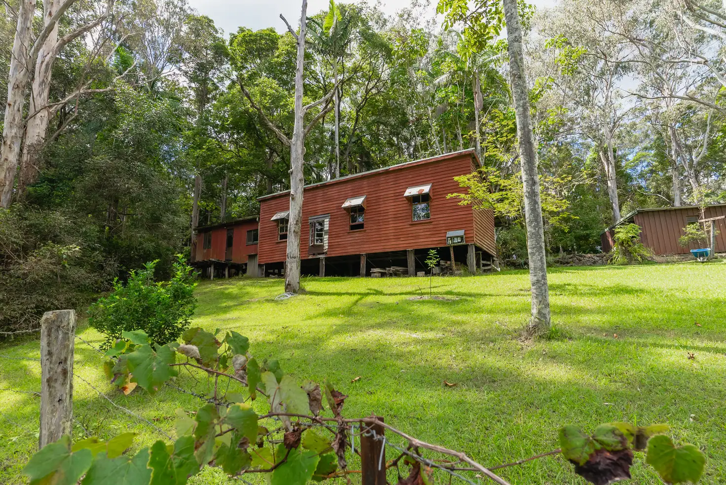 Main view of Homely rural property listing, 247 Delicia Road, Obi Obi QLD 4574