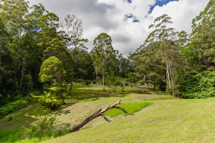Fifth view of Homely rural property listing, 247 Delicia Road, Obi Obi QLD 4574