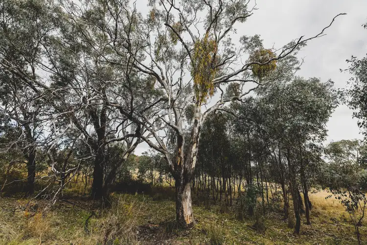 Fifth view of Homely land listing, Lot 77-79, 111 Prescot Street, Lyndhurst NSW 2797
