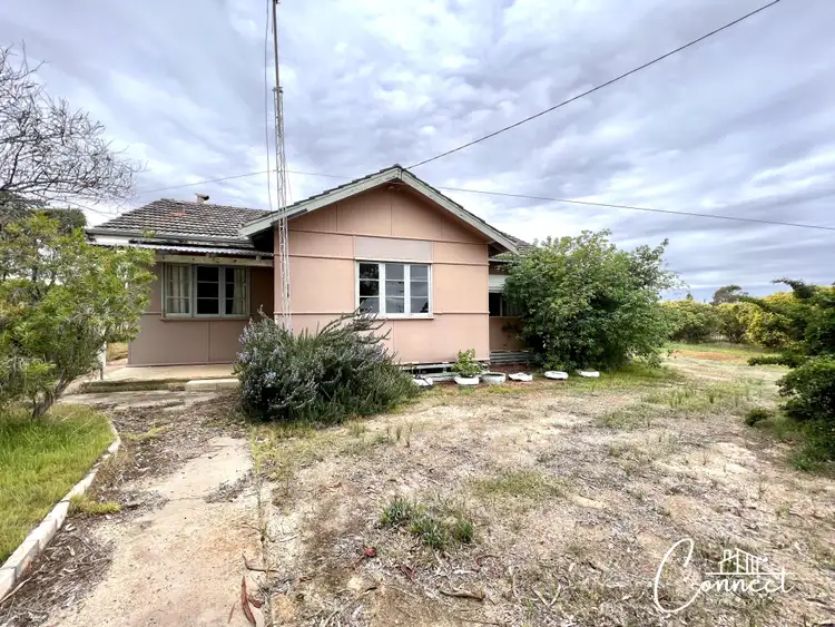 Main view of Homely house listing, 18 Forrest street, Quairading WA 6383
