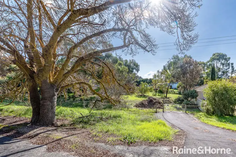 Main view of Homely land listing, A11 Todd Street, Macclesfield SA 5153