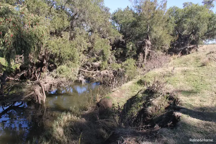 Fifth view of Homely rural property listing, Lot 4 and 141 Burnett Highway, Nanango QLD 4615